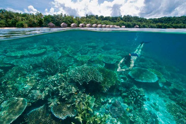 Papua Paradise Eco Resort2