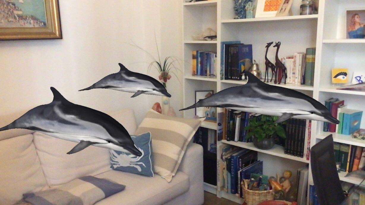 I delfini (virtuali) in salotto con l'app di Digital Whales